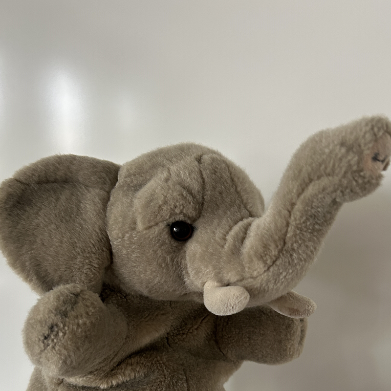 Elefantenklasse
1c 
Frau Trillmann