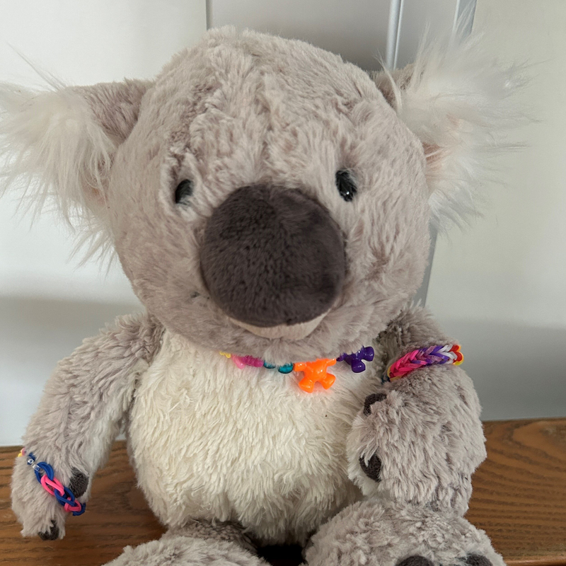 Koalaklasse
3c Frau Balke