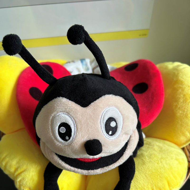 Marienkäferklasse
2c 
Frau Heide