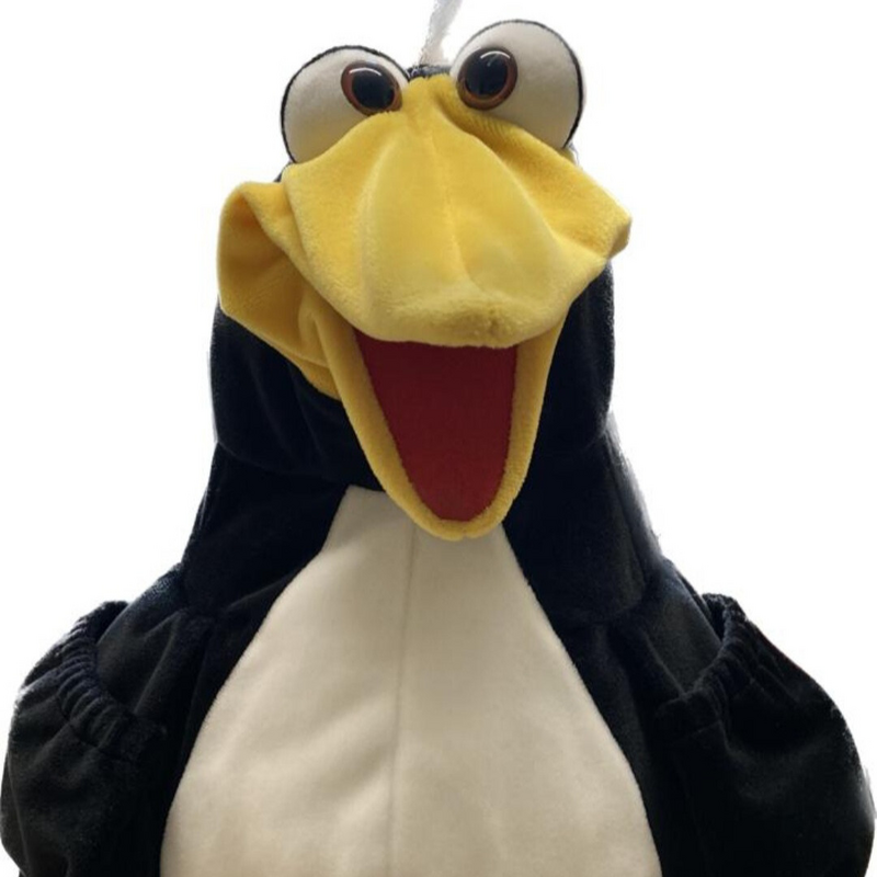 Pinguinklasse
3a Frau Voßherich