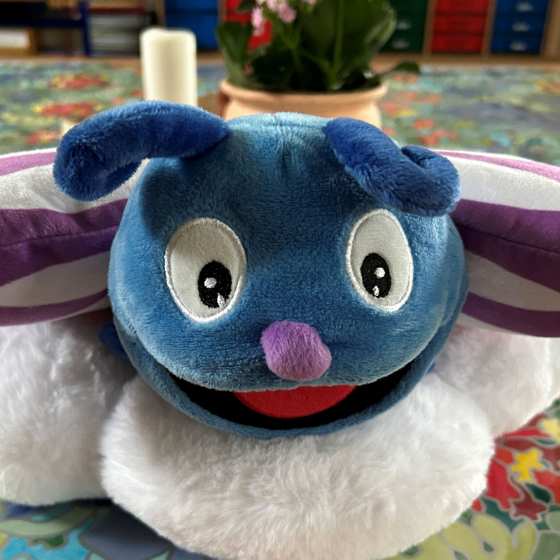 Schmetterlingsklasse
2b 
Frau Noch