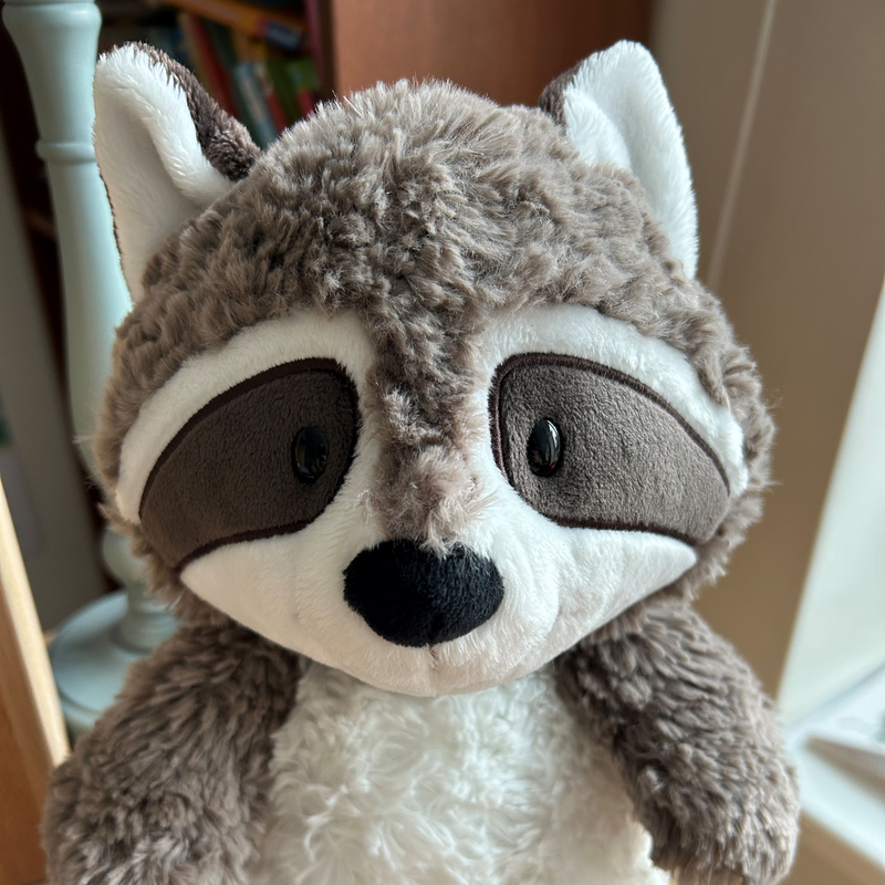 Waschbärklasse
4b 
Frau Becker