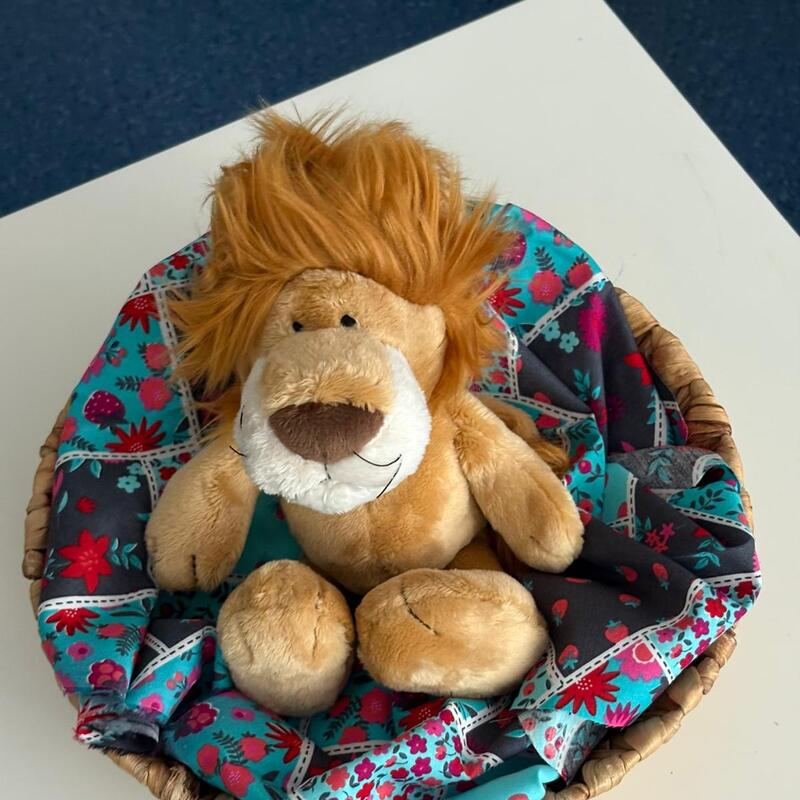 Löwenklasse
1a Frau Ptok