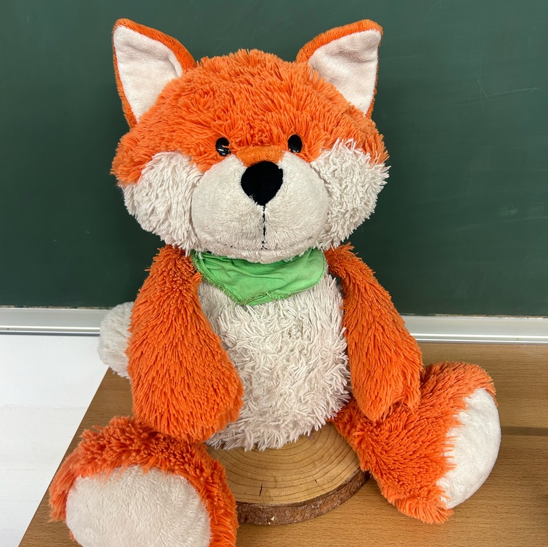 Fuchsklasse
4a Frau Koch